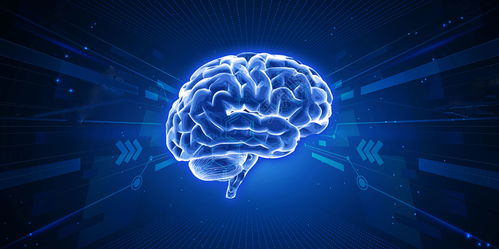 區塊鏈技術 從開發到應用的完整解決方案與技術服務